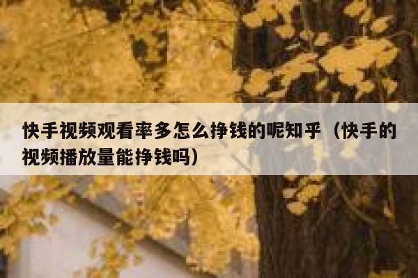 快手视频观看率多怎么挣钱的呢知乎（快手的视频播放量能挣钱吗） 第1张