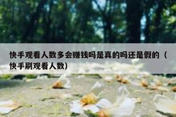 快手观看人数多会赚钱吗是真的吗还是假的（快手刷观看人数） 第1张