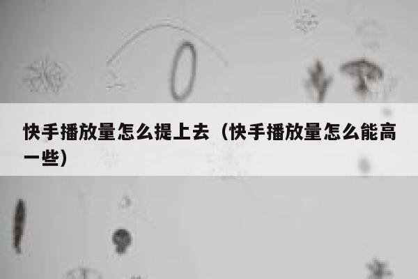 快手播放量怎么提上去（快手播放量怎么能高一些） 第1张