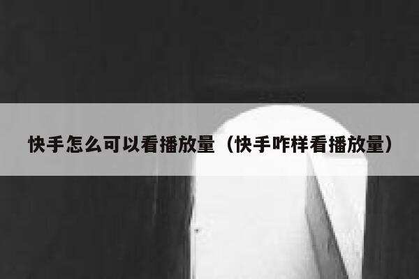 快手怎么可以看播放量（快手咋样看播放量） 第1张