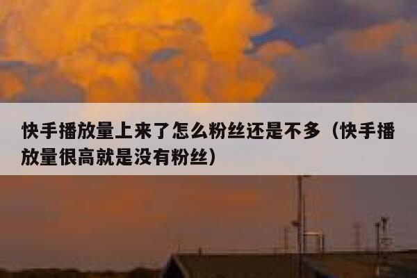 快手播放量上来了怎么粉丝还是不多（快手播放量很高就是没有粉丝） 第1张