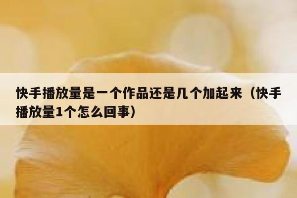 快手播放量是一个作品还是几个加起来（快手播放量1个怎么回事） 第1张