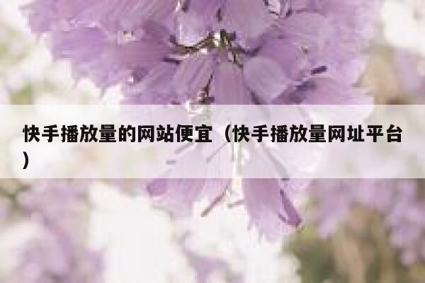 快手播放量的网站便宜（快手播放量网址平台） 第1张