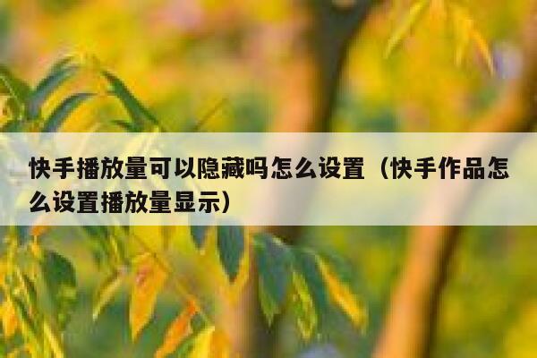 快手播放量可以隐藏吗怎么设置（快手作品怎么设置播放量显示） 第1张