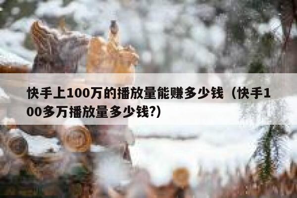 快手上100万的播放量能赚多少钱（快手100多万播放量多少钱?） 第1张