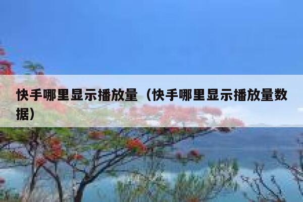 快手哪里显示播放量（快手哪里显示播放量数据） 第1张