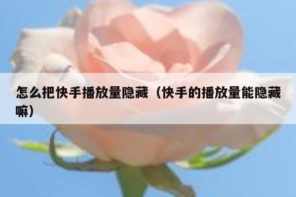 怎么把快手播放量隐藏（快手的播放量能隐藏嘛） 第1张