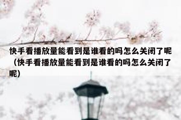 快手看播放量能看到是谁看的吗怎么关闭了呢（快手看播放量能看到是谁看的吗怎么关闭了呢） 第1张