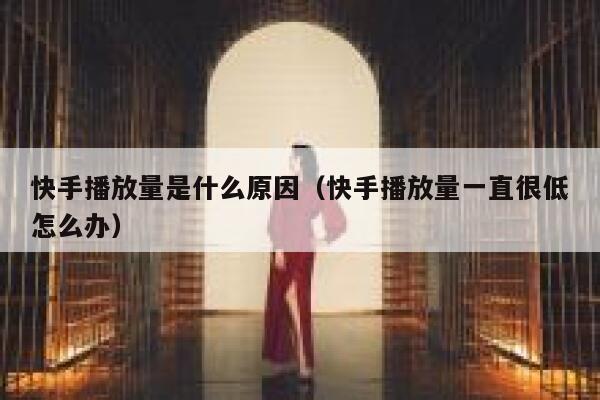 快手播放量是什么原因（快手播放量一直很低怎么办） 第1张