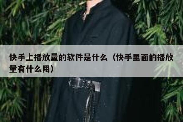 快手上播放量的软件是什么（快手里面的播放量有什么用） 第1张