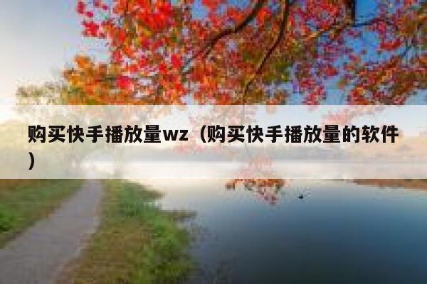 购买快手播放量wz（购买快手播放量的软件） 第1张