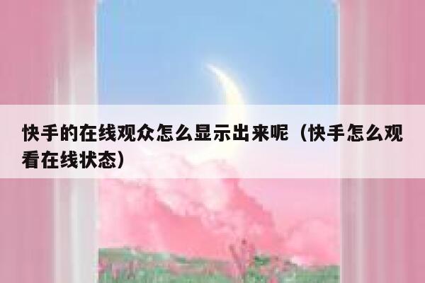 快手的在线观众怎么显示出来呢（快手怎么观看在线状态） 第1张