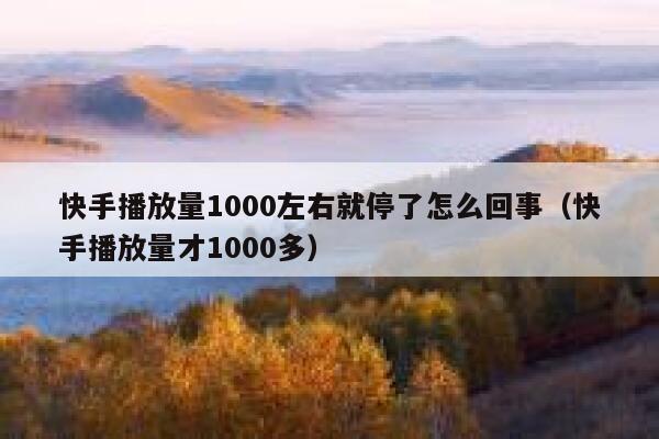 快手播放量1000左右就停了怎么回事（快手播放量才1000多） 第1张