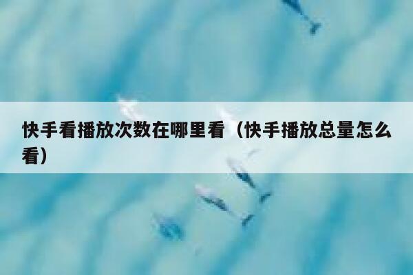 快手看播放次数在哪里看（快手播放总量怎么看） 第1张