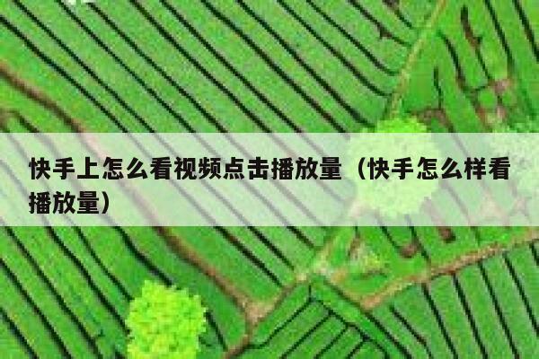 快手上怎么看视频点击播放量（快手怎么样看播放量） 第1张