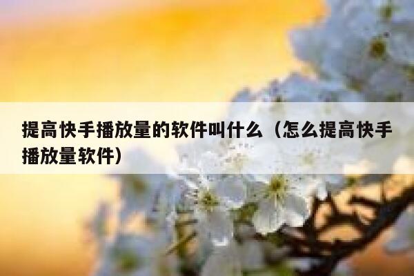 提高快手播放量的软件叫什么（怎么提高快手播放量软件） 第1张