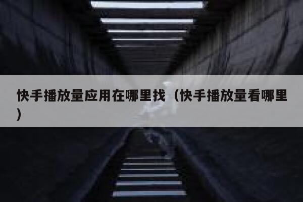 快手播放量应用在哪里找（快手播放量看哪里） 第1张