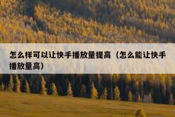 怎么样可以让快手播放量提高（怎么能让快手播放量高） 第1张