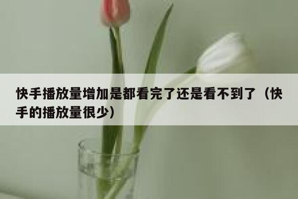 快手播放量增加是都看完了还是看不到了（快手的播放量很少） 第1张