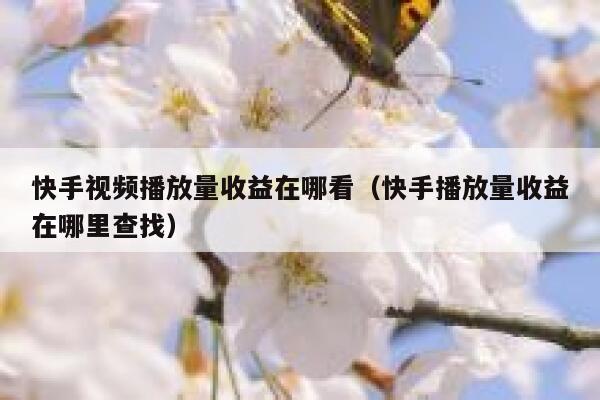 快手视频播放量收益在哪看（快手播放量收益在哪里查找） 第1张