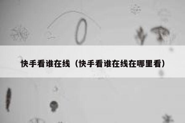 快手看谁在线（快手看谁在线在哪里看） 第1张