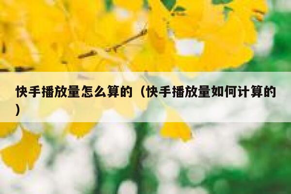 快手播放量怎么算的（快手播放量如何计算的） 第1张