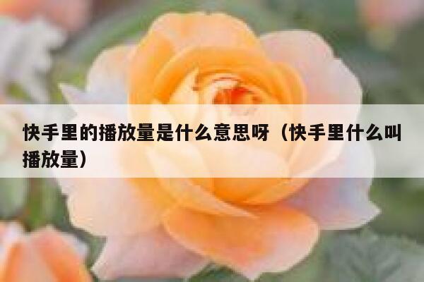 快手里的播放量是什么意思呀（快手里什么叫播放量） 第1张