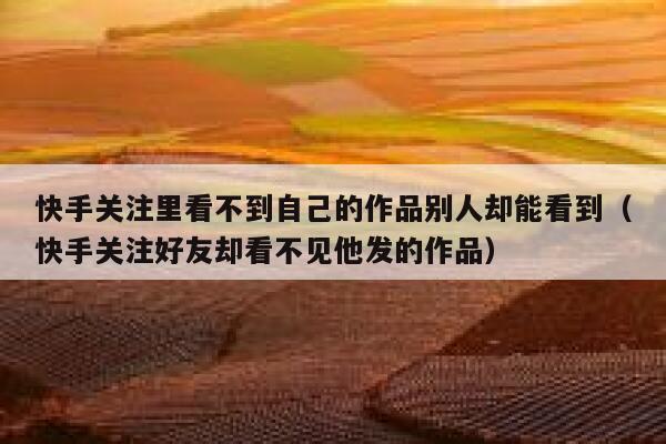 快手关注里看不到自己的作品别人却能看到（快手关注好友却看不见他发的作品） 第1张