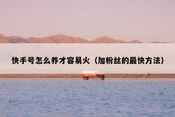 快手号怎么养才容易火（加粉丝的最快方法） 第1张