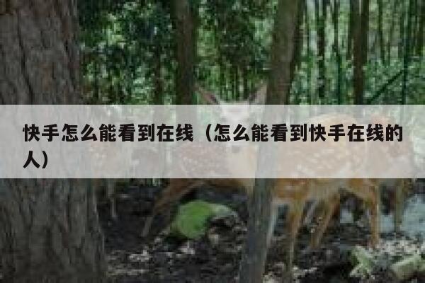 快手怎么能看到在线（怎么能看到快手在线的人） 第1张