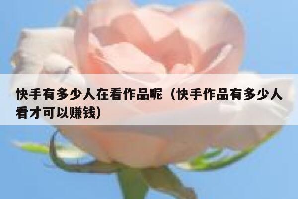 快手有多少人在看作品呢（快手作品有多少人看才可以赚钱） 第1张