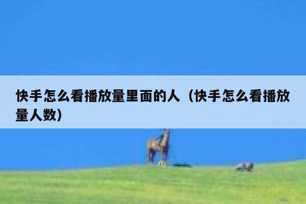 快手怎么看播放量里面的人（快手怎么看播放量人数） 第1张
