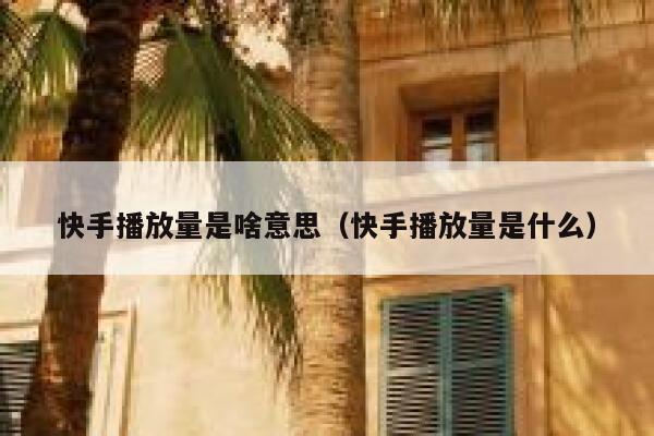 快手播放量是啥意思（快手播放量是什么） 第1张