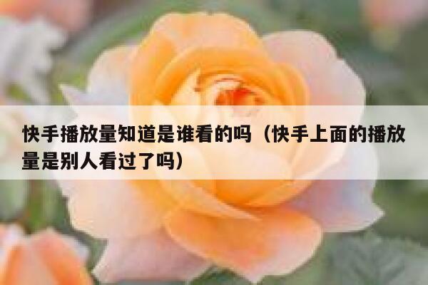 快手播放量知道是谁看的吗（快手上面的播放量是别人看过了吗） 第1张