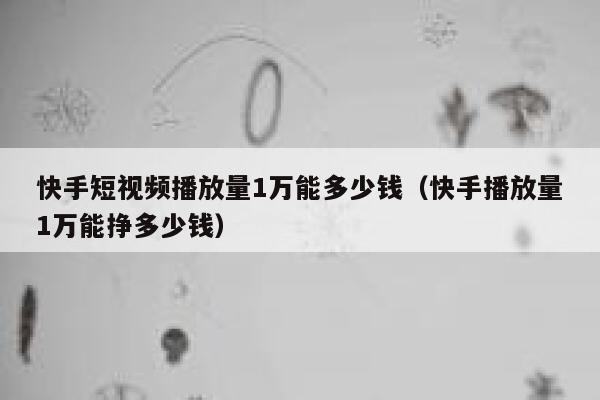快手短视频播放量1万能多少钱（快手播放量1万能挣多少钱） 第1张