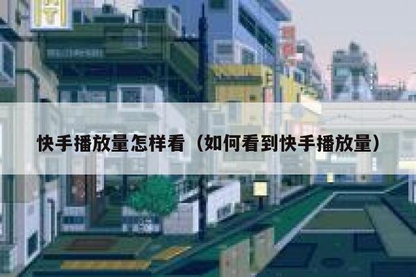 快手播放量怎样看（如何看到快手播放量） 第1张