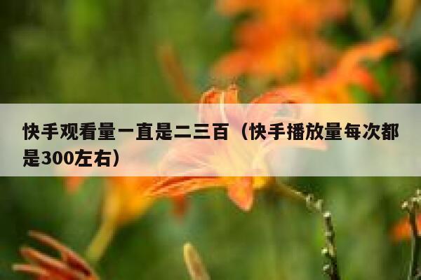 快手观看量一直是二三百（快手播放量每次都是300左右） 第1张