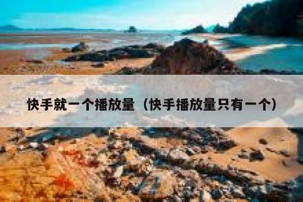 快手就一个播放量（快手播放量只有一个） 第1张