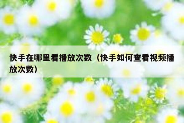 快手在哪里看播放次数（快手如何查看视频播放次数） 第1张
