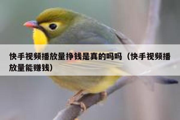 快手视频播放量挣钱是真的吗吗（快手视频播放量能赚钱） 第1张