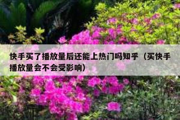 快手买了播放量后还能上热门吗知乎（买快手播放量会不会受影响） 第1张