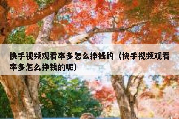 快手视频观看率多怎么挣钱的（快手视频观看率多怎么挣钱的呢） 第1张