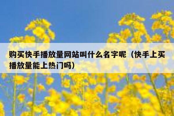 购买快手播放量网站叫什么名字呢（快手上买播放量能上热门吗） 第1张