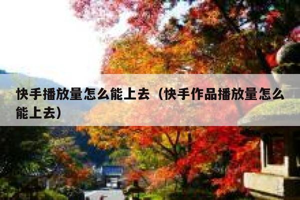 快手播放量怎么能上去（快手作品播放量怎么能上去） 第1张