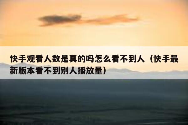 快手观看人数是真的吗怎么看不到人（快手最新版本看不到别人播放量） 第1张
