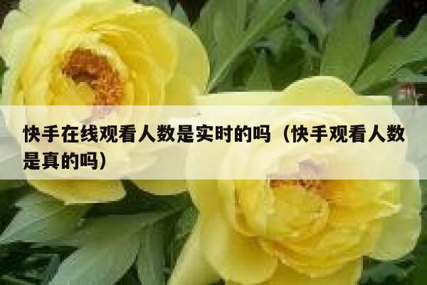 快手在线观看人数是实时的吗（快手观看人数是真的吗） 第1张