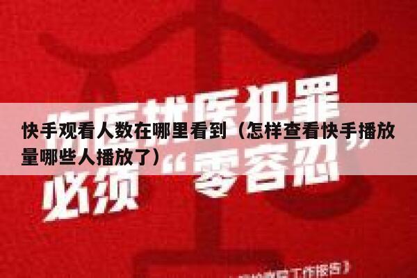 快手观看人数在哪里看到（怎样查看快手播放量哪些人播放了） 第1张