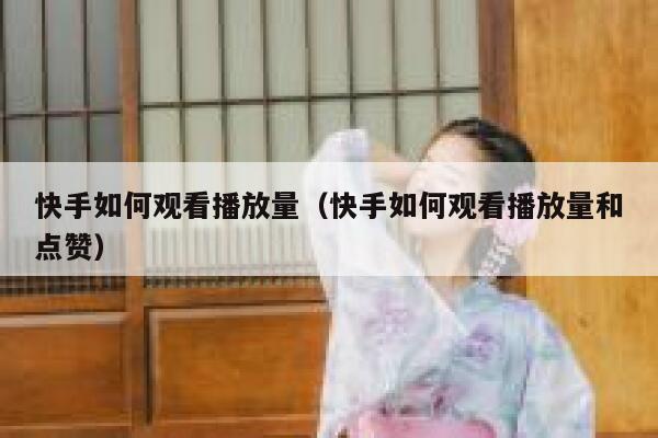 快手如何观看播放量（快手如何观看播放量和点赞） 第1张