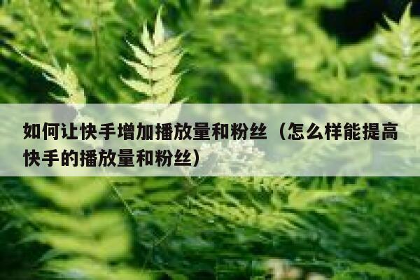 如何让快手增加播放量和粉丝（怎么样能提高快手的播放量和粉丝） 第1张