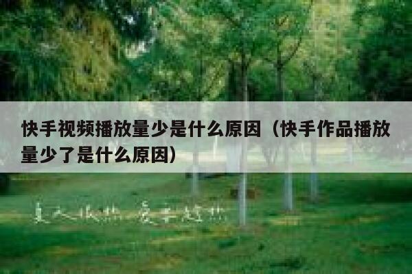快手视频播放量少是什么原因（快手作品播放量少了是什么原因） 第1张